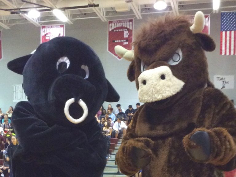 Athletics Department Main Page Wiregrass Ranch High School